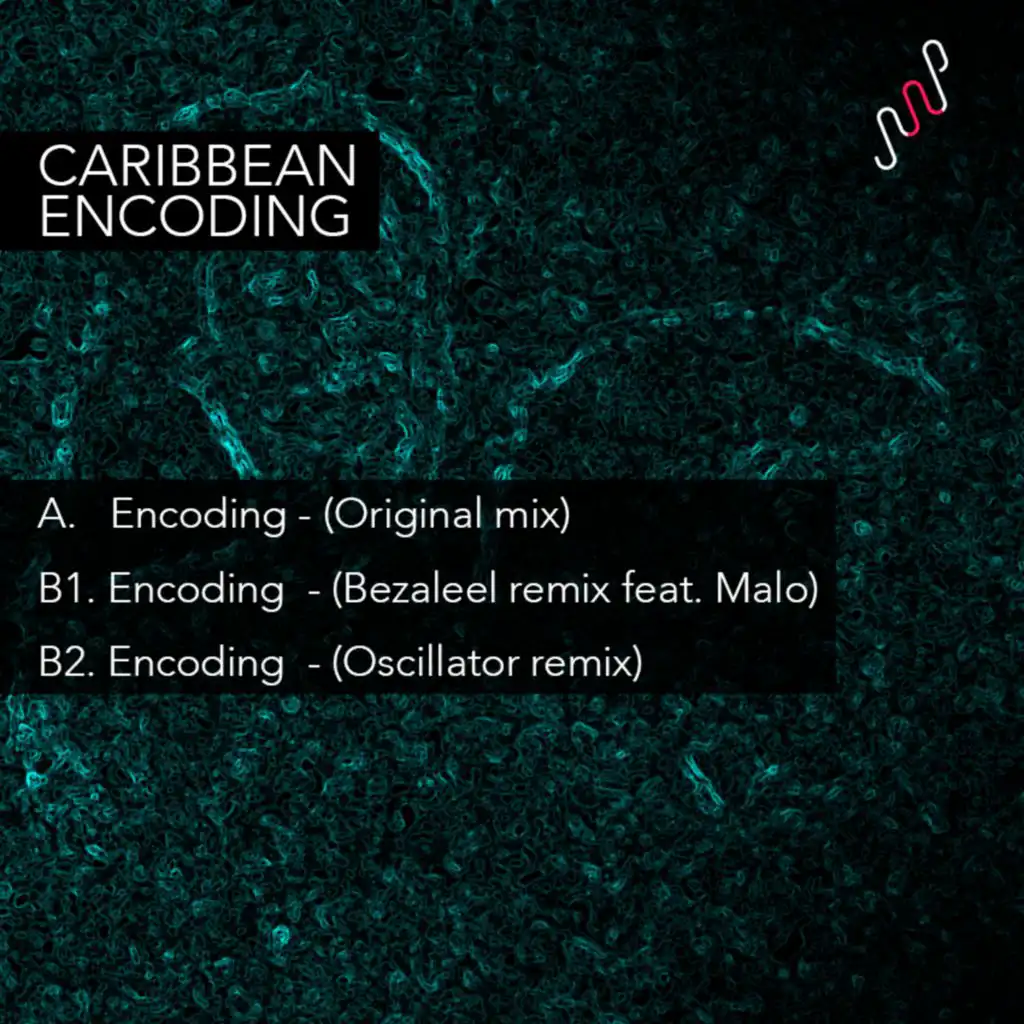 Encoding (feat. Malo)