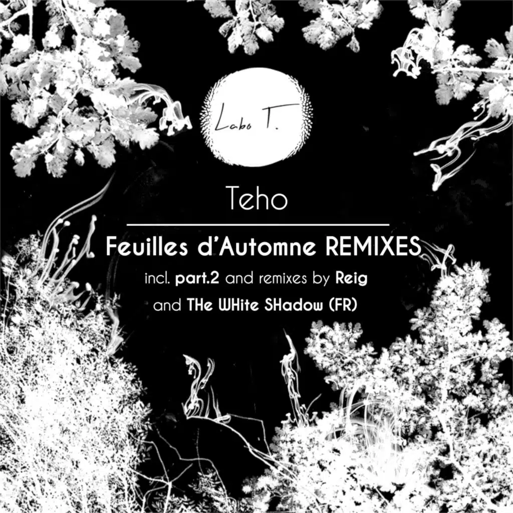 Feuilles d'automne (Reig (FR) Remix)