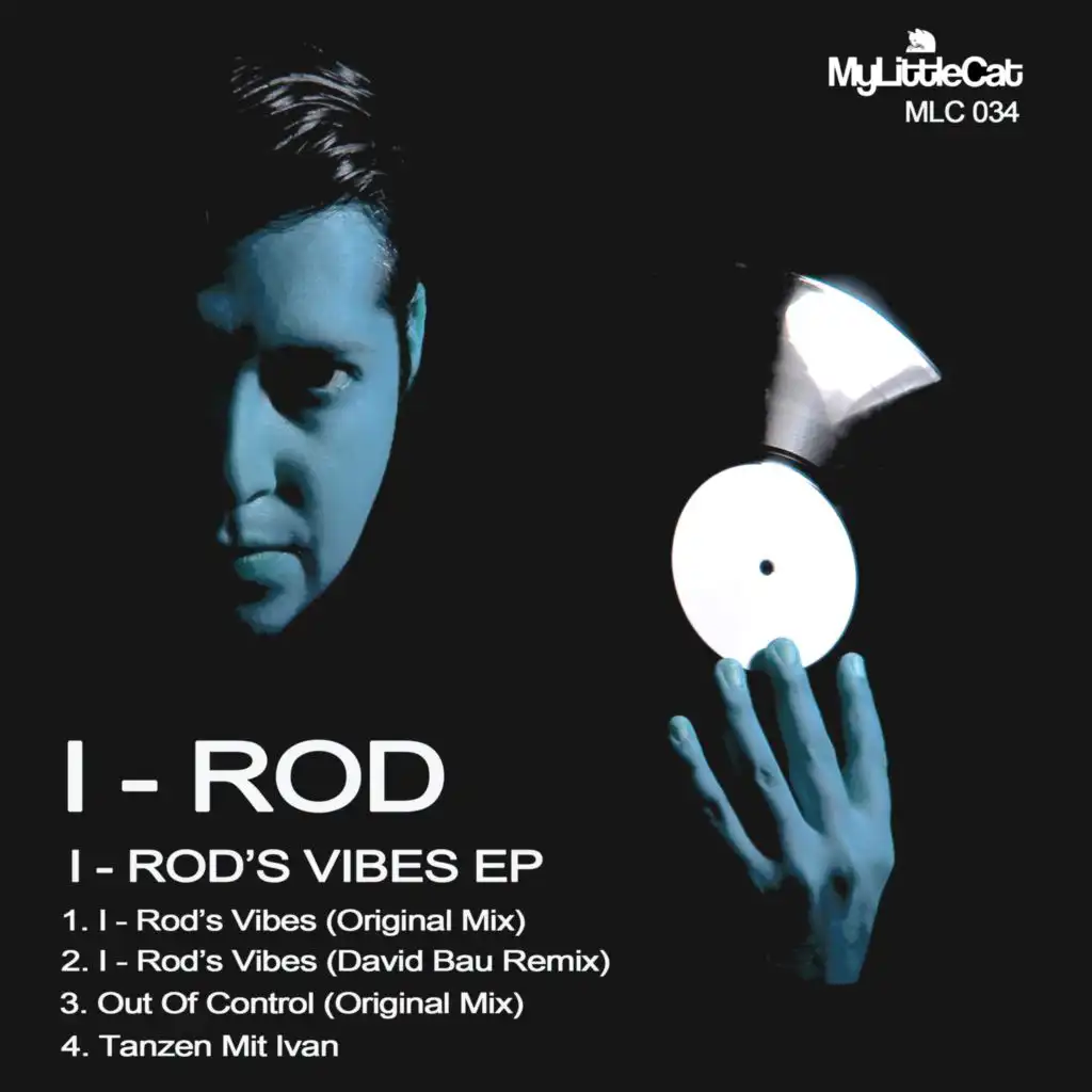 I-Rod's Vibes (David Bau Remix)