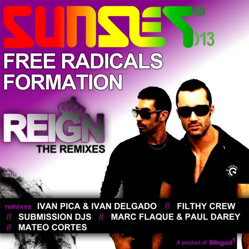 Reign - The Remixes