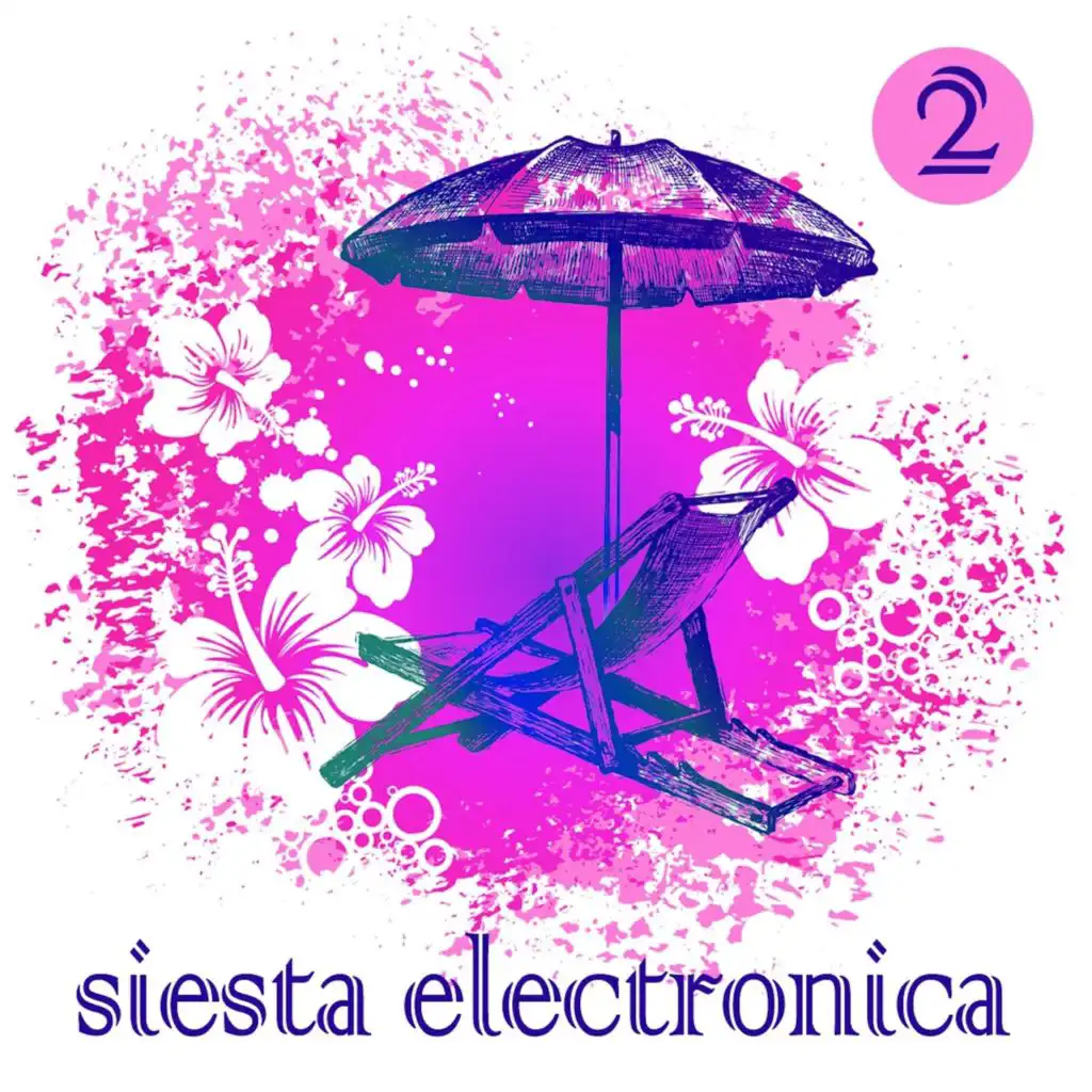 Siesta Electronica, Vol. 2