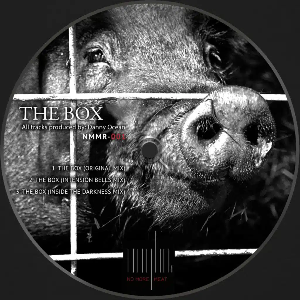 The Box (Inside Darkness Mix)