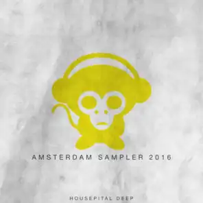 Amsterdam Sampler 2016 By Housepital Deep