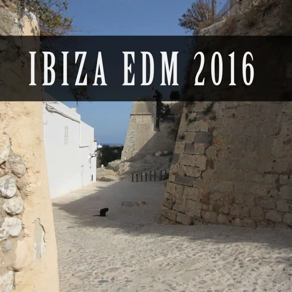 Final Exit (AudioRunners Drive-By Remix)