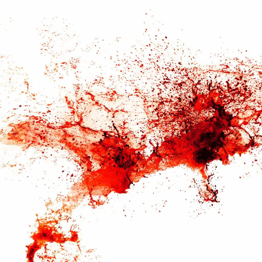 Mario Ranieri & Braunton