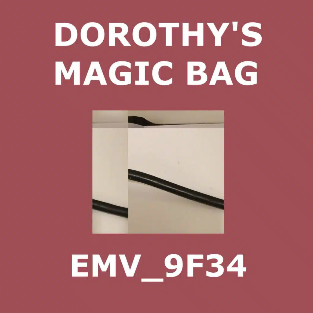Dorothy's Magic Bag