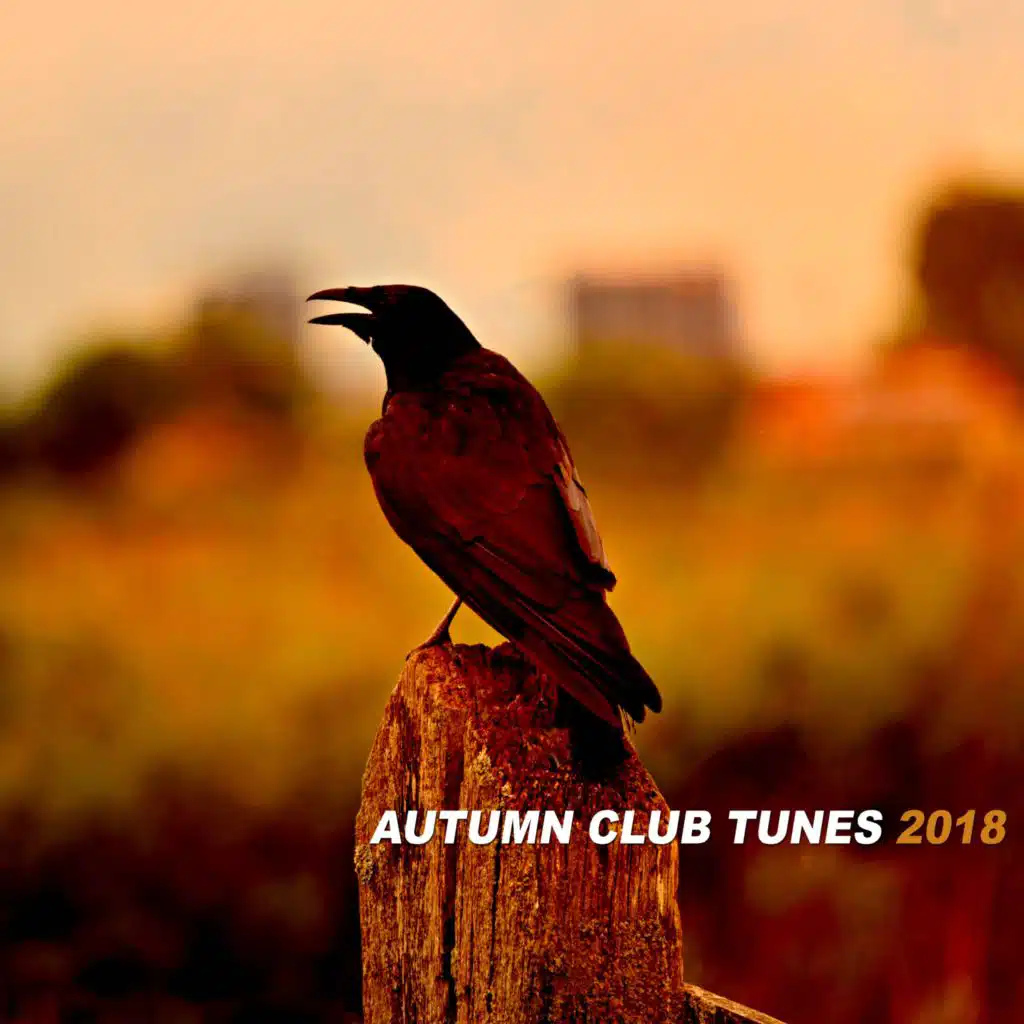 Autumn Club Tunes 2018
