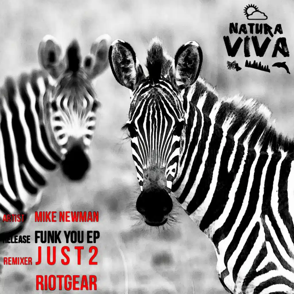 Funk You (RioTGeaR Remix)