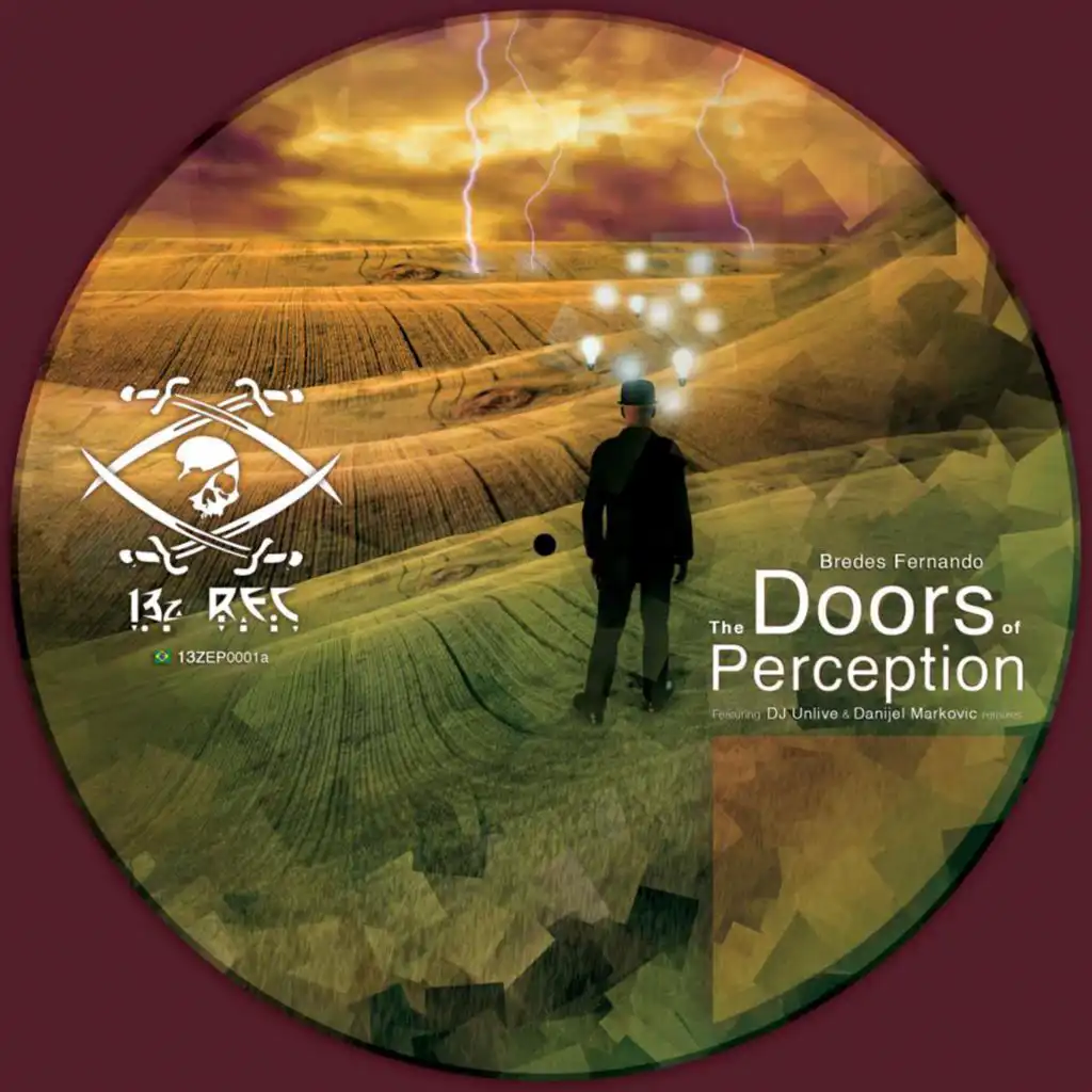 The Doors of Perception (Danijel Markovic Remix)