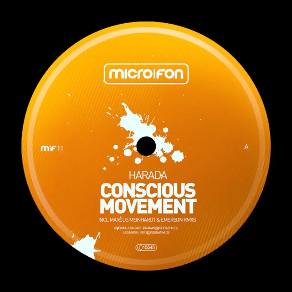 Conscious Movement (Marcus Meinhardt Winter Games Remix)