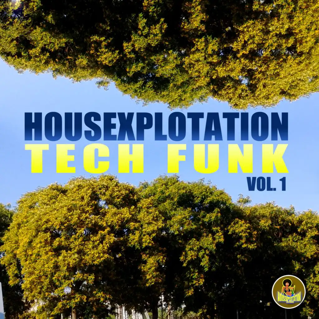 Acid Funk (Instrumental Club Edit)