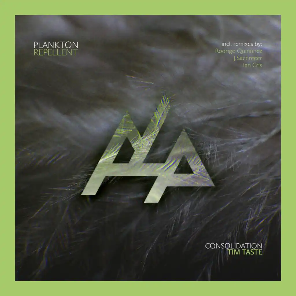 Satelite (Rodrigo Quinonez Remix)