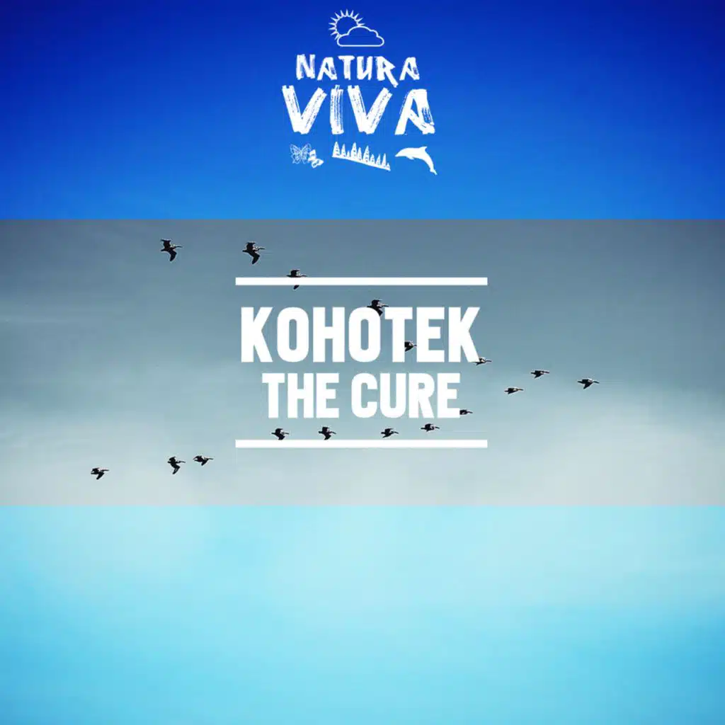 Kohotek