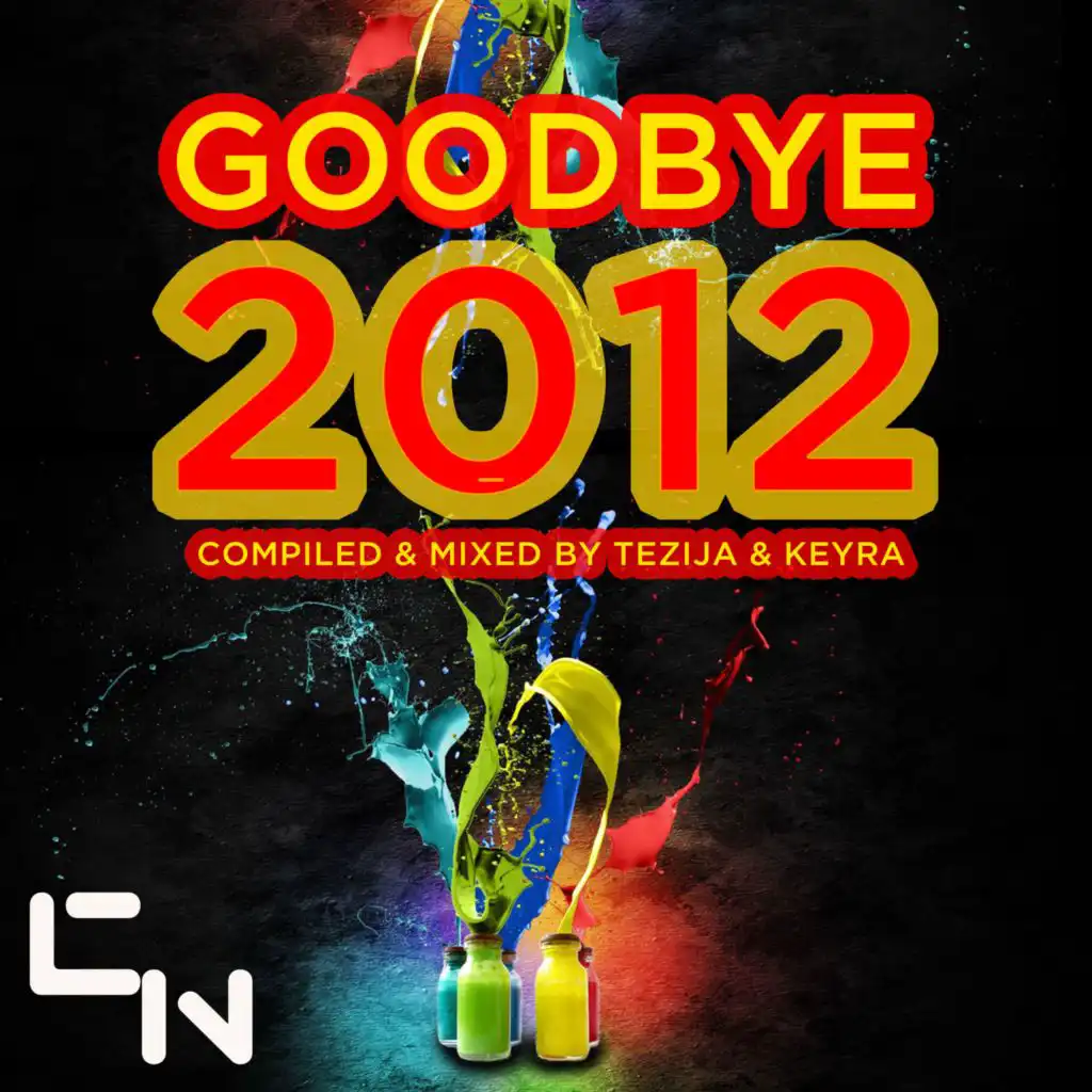 Goodbye 2012 (The DJ Mix Edition)