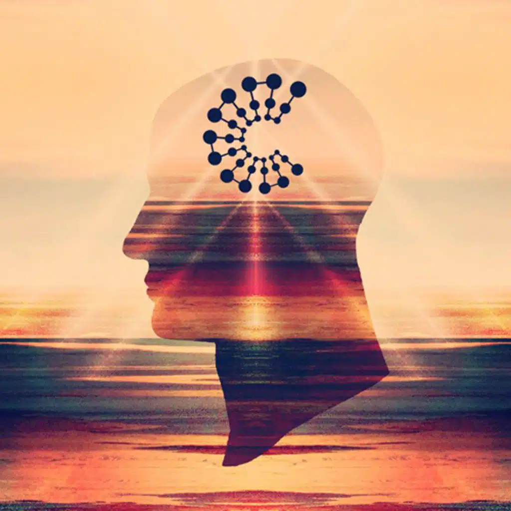 Mirco Berti & Mark Livella