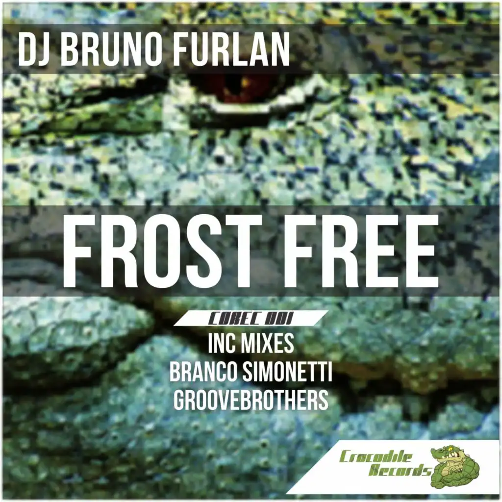Frost Free (Groovebrothers Remix)
