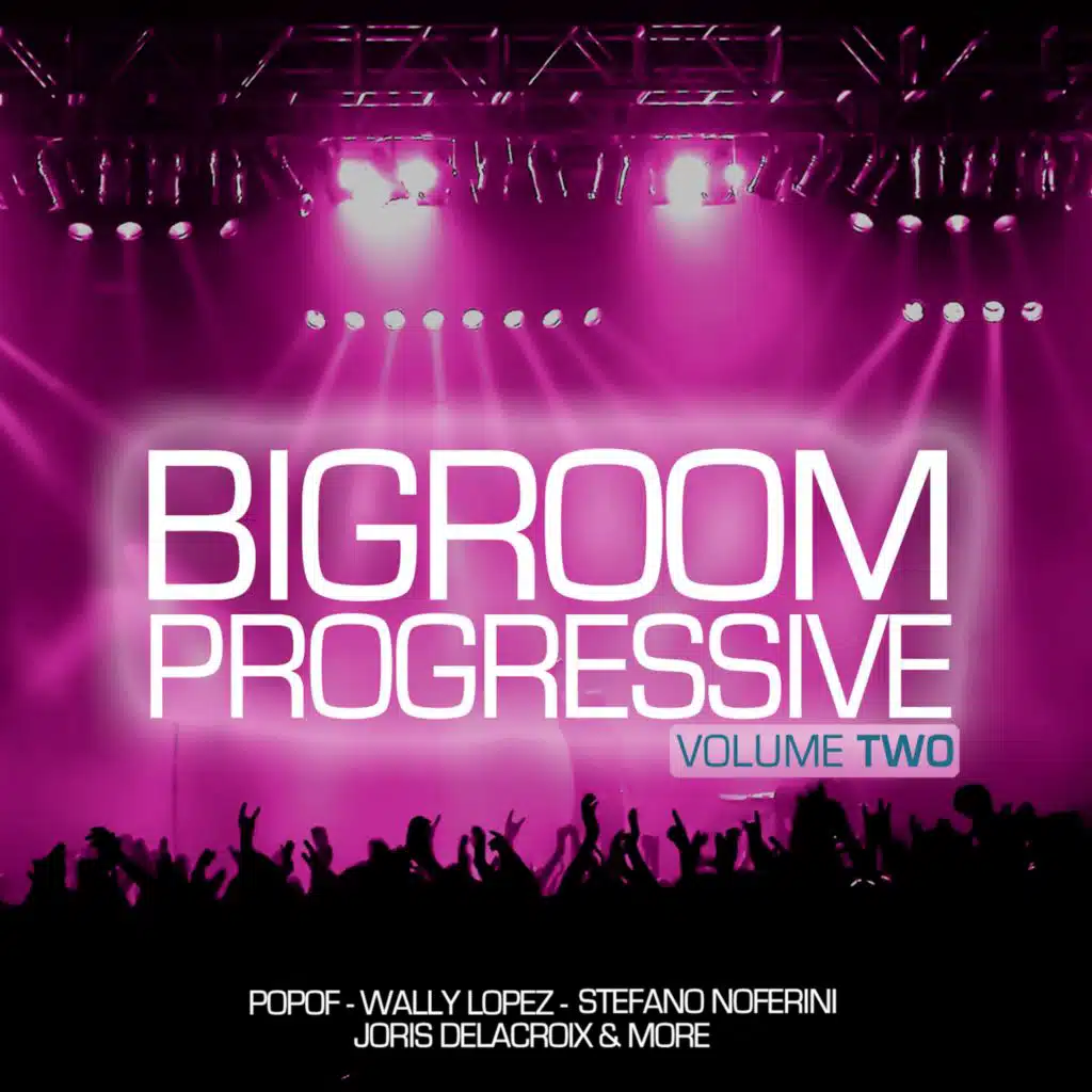Progressive Bigroom, Vol. 2