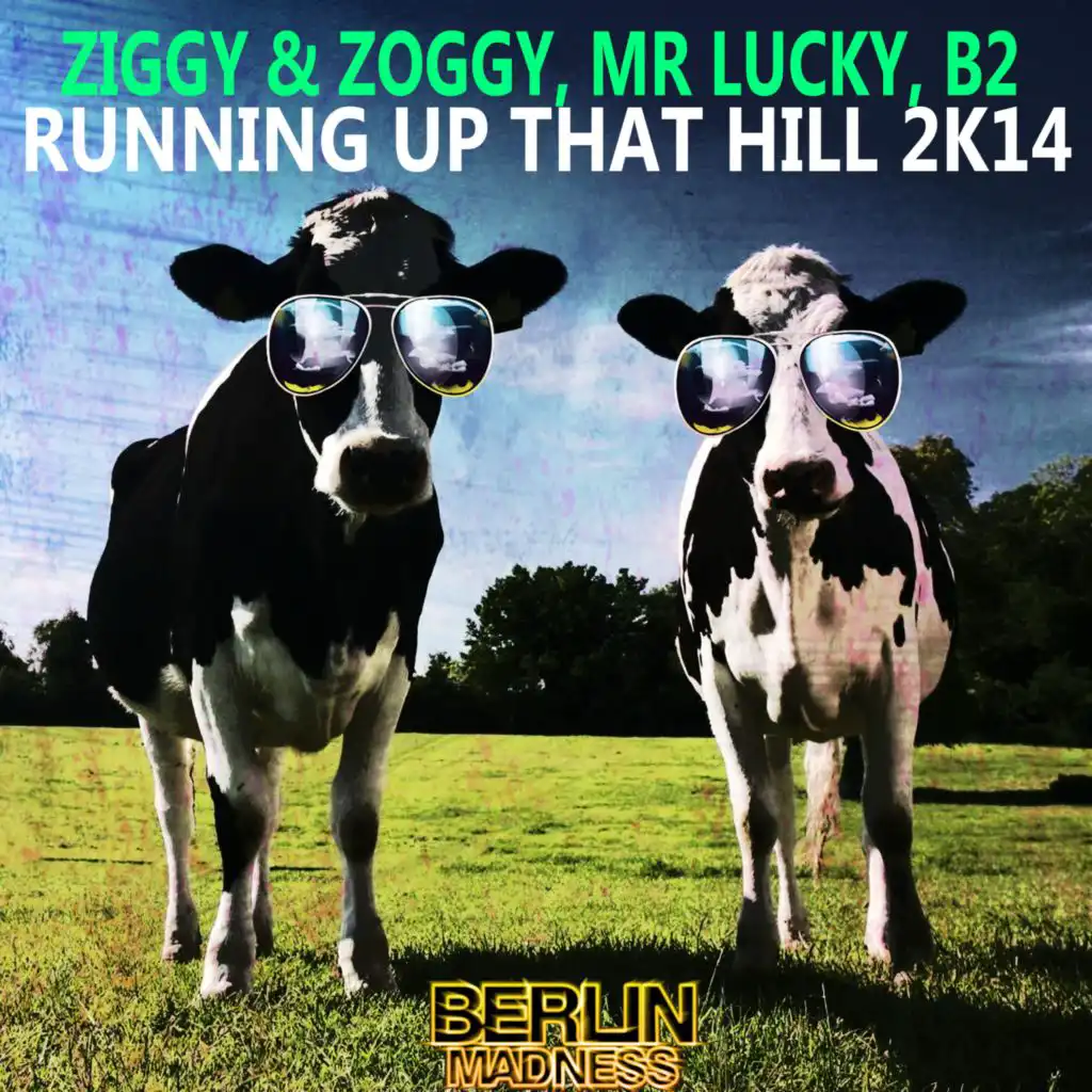 Ziggy & Zoggy, Mr Lucky & B2