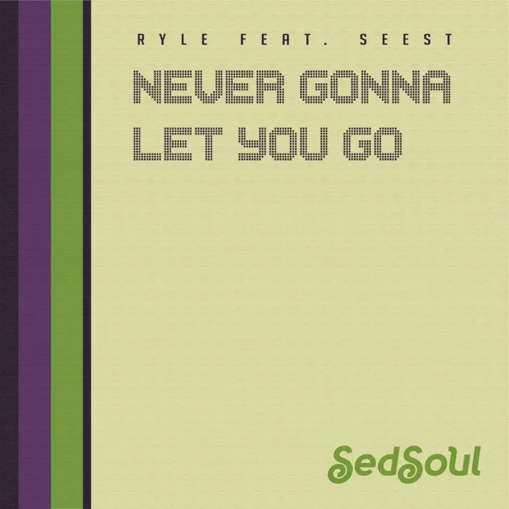 Never Gonna Let You Go (feat. Seest)