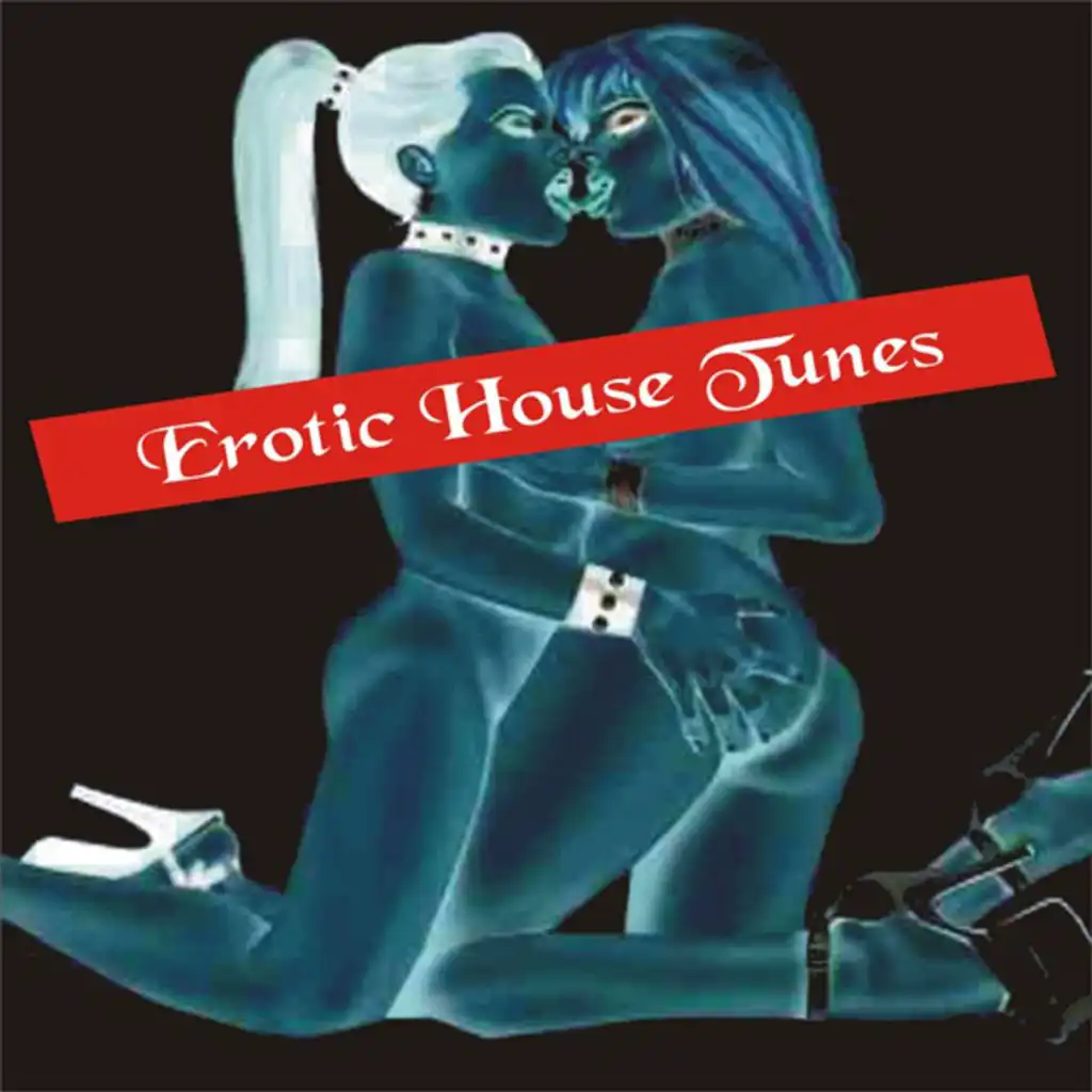 Erotic House Tunes