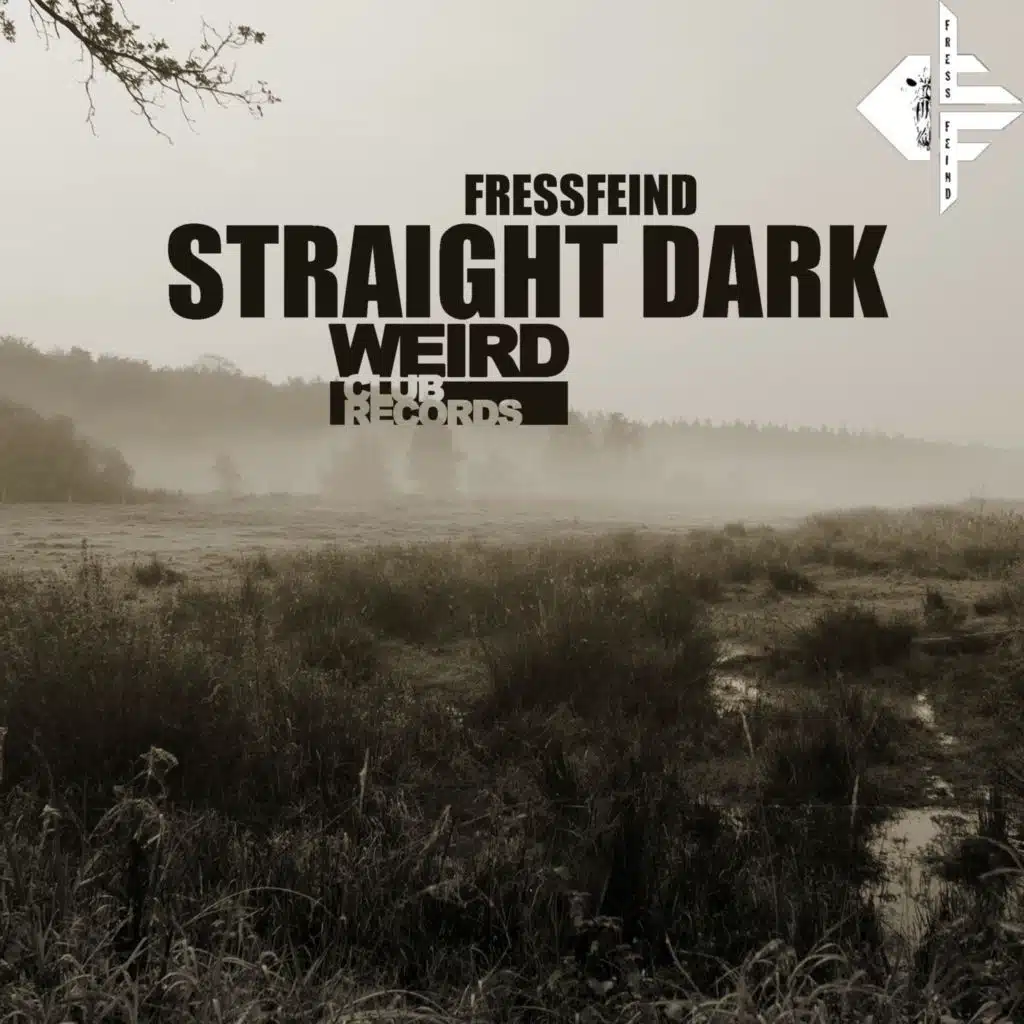 Straight Dark (Kai Pattenberg Remix)