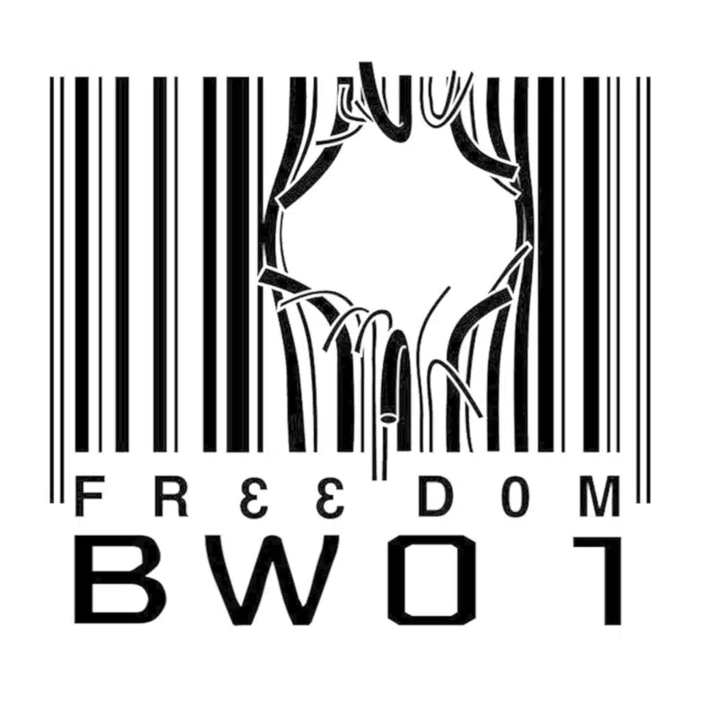 2fast2slow (WM Remix)