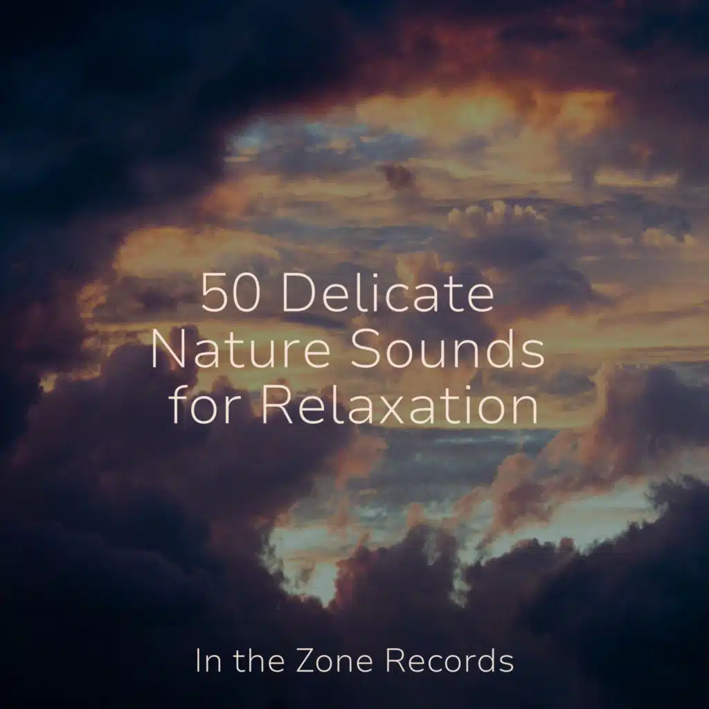 50 Delicate Nature Sounds for Relaxation