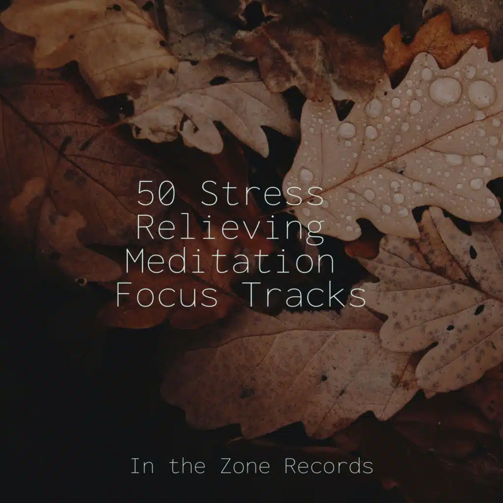50 Stress Relieving Meditation Focus Tracks