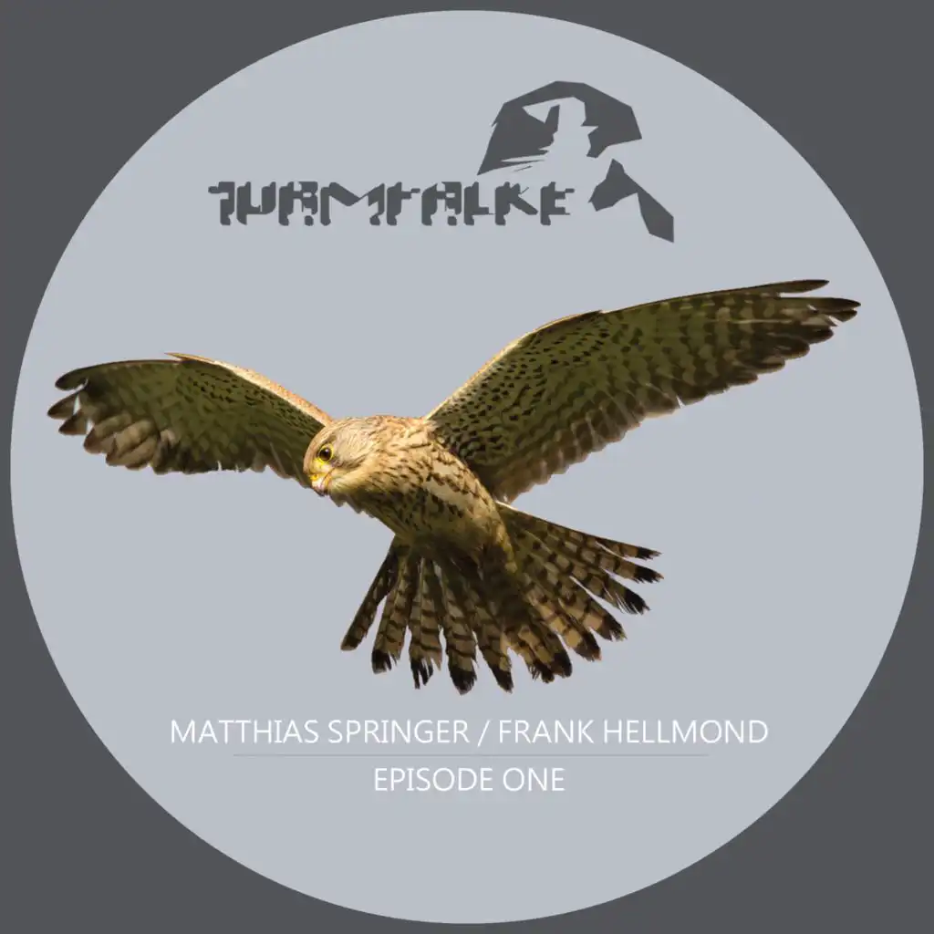 Mandrake Groove (Frank Hellmond Remix)
