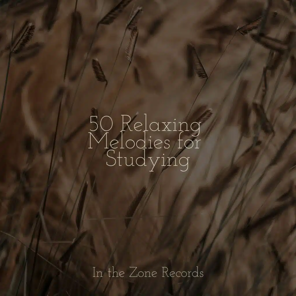 50 Relaxing Melodies for Studying