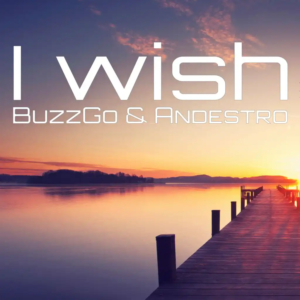 I Wish (Extended Mix)