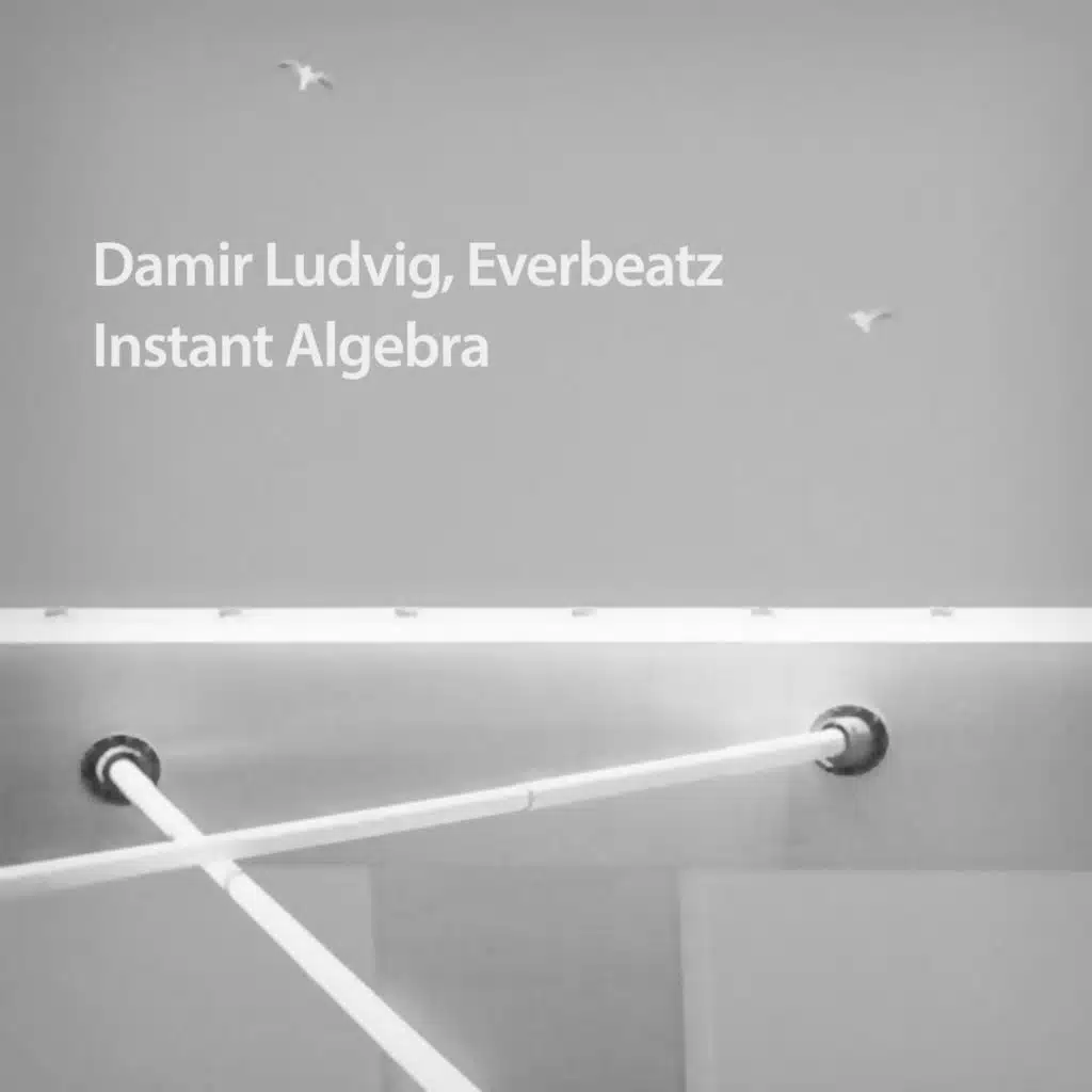 Damir Ludvig, Everbeatz