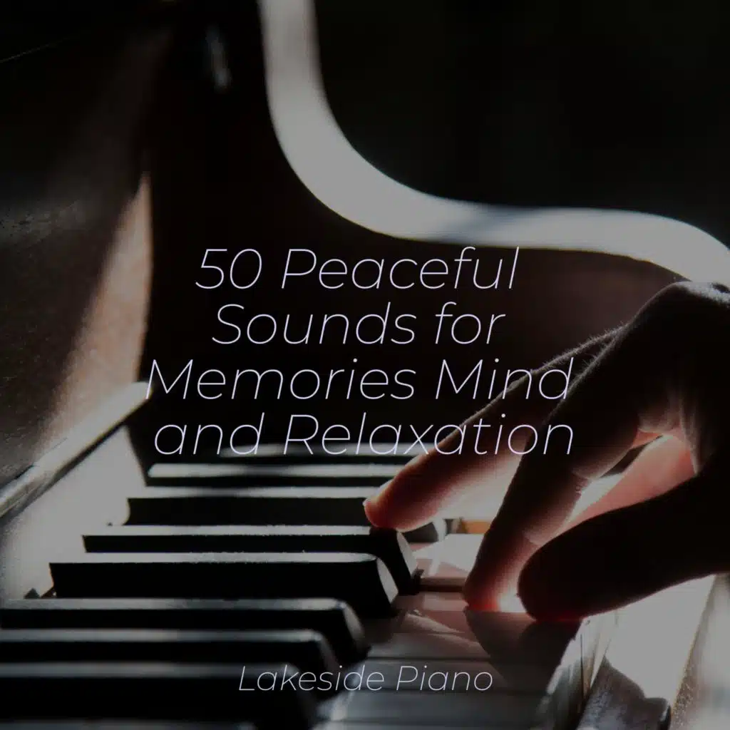 50 Peaceful Sounds for Memories Mind and Relaxation