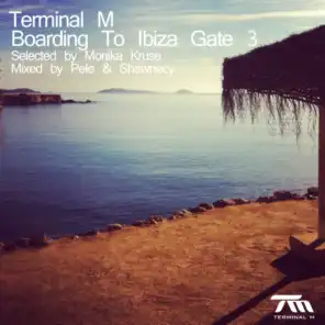 Terminal M - Boarding to Ibiza Gate 3 (Selected By Monika Kruse & Mixed By Pele & Shawnecy)