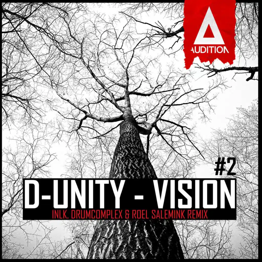 Vision (Drumcomplex & Roel Salemink Remix)