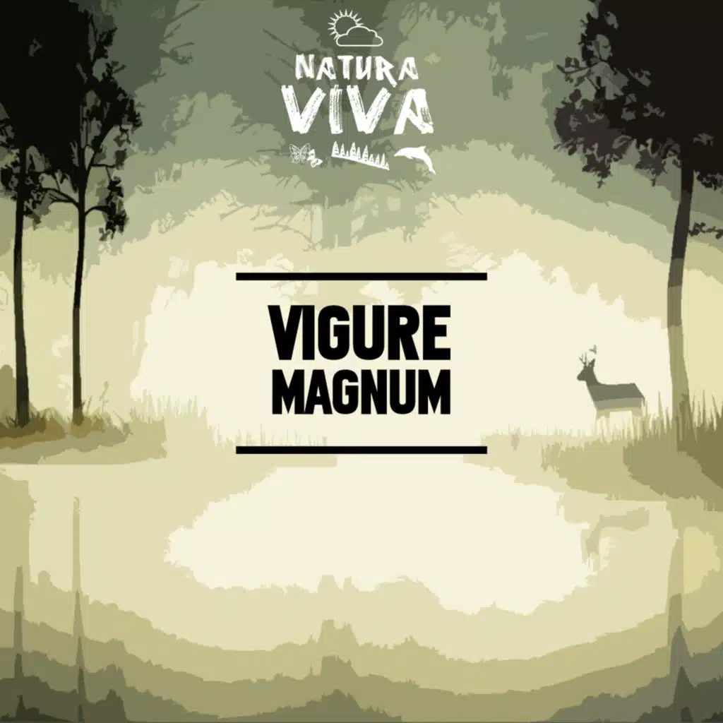 Vigure