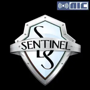 Sentinel (Cor Zegveld Techno Remix)