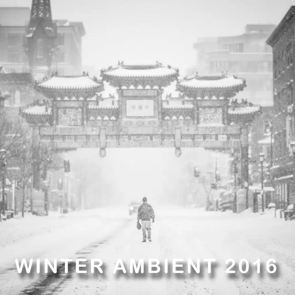 Winter Ambient 2016