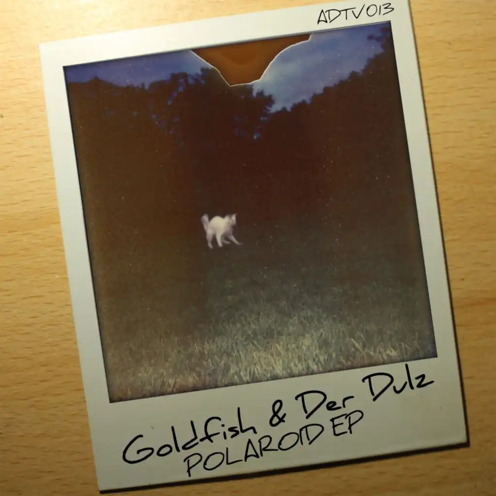 Polaroid (Datastix Remix)