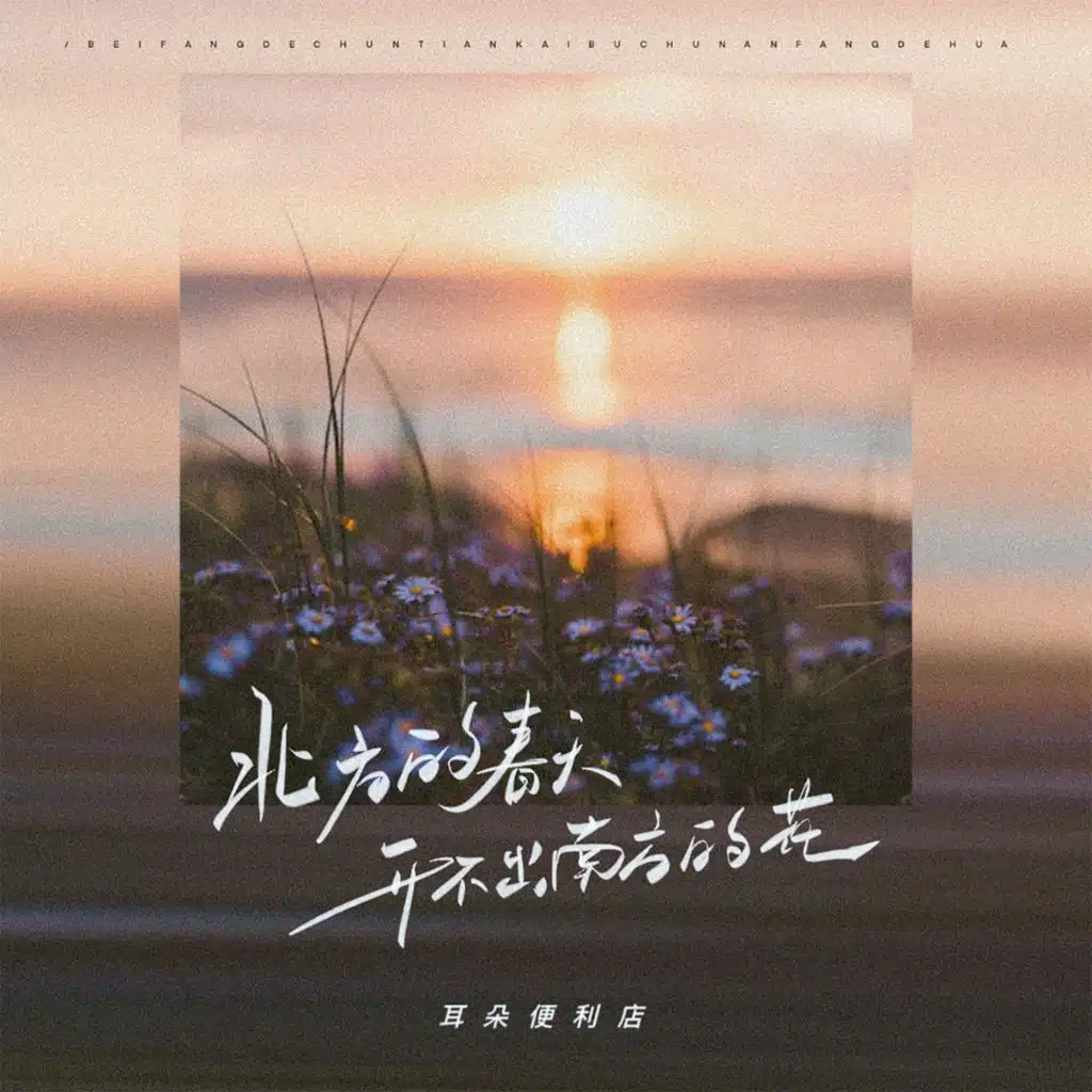 北方的春天开不出南方的花 (Djhz版)