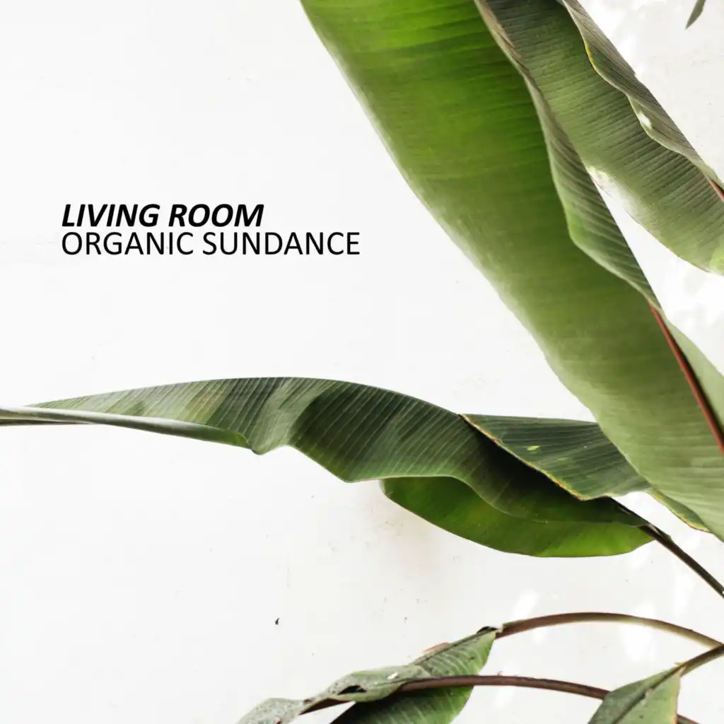 Organic Sundance (Ambient Dub) [feat. Living Room]