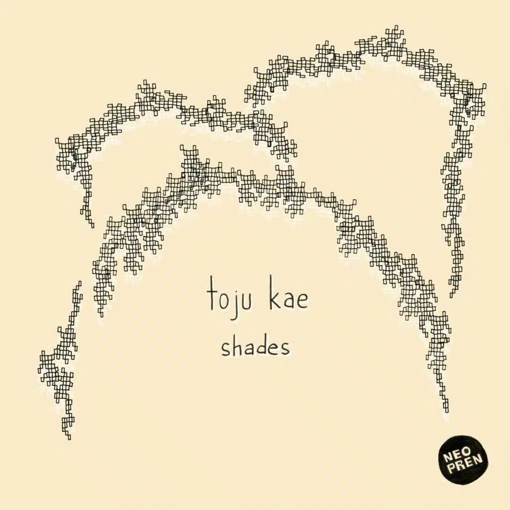Shades (Pol R Remix)