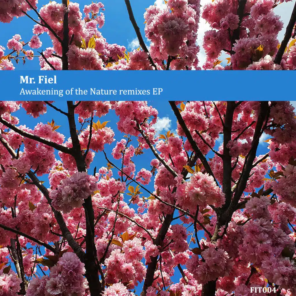 Awakening of the Nature (Remixes)