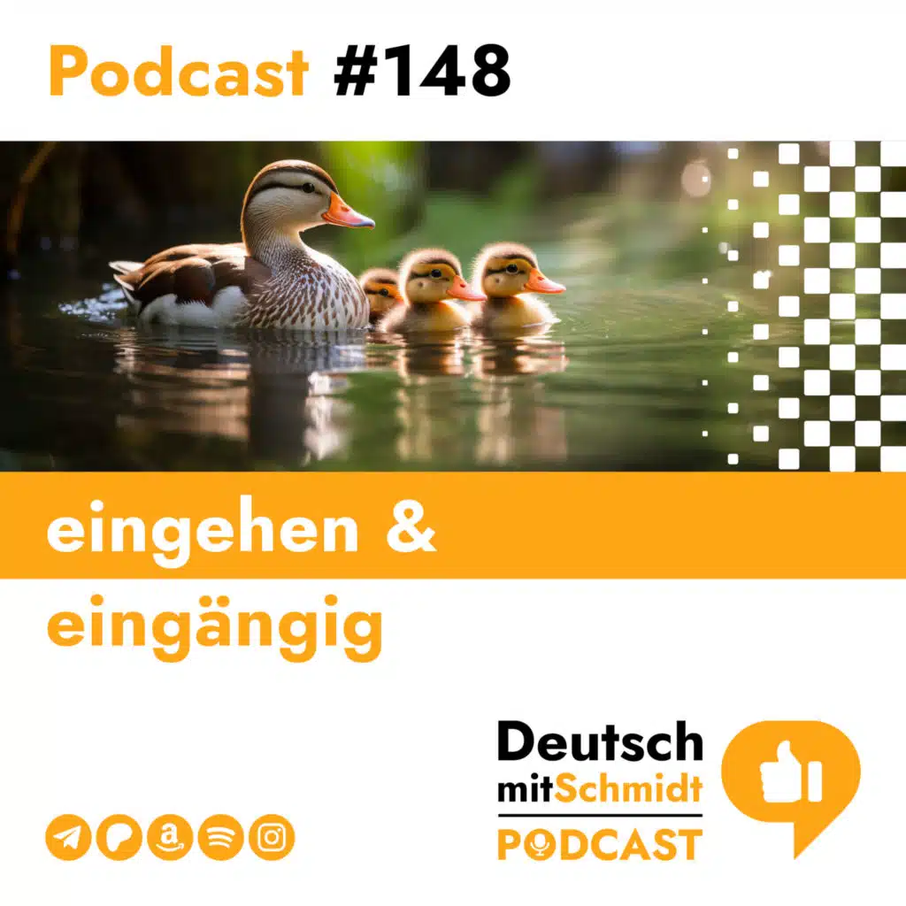 DMS148 - eingehen & eingängig
