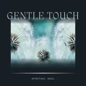 Spiritual Soul