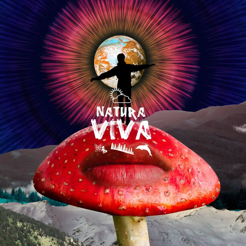 Martin Eyerer, Boot Slap