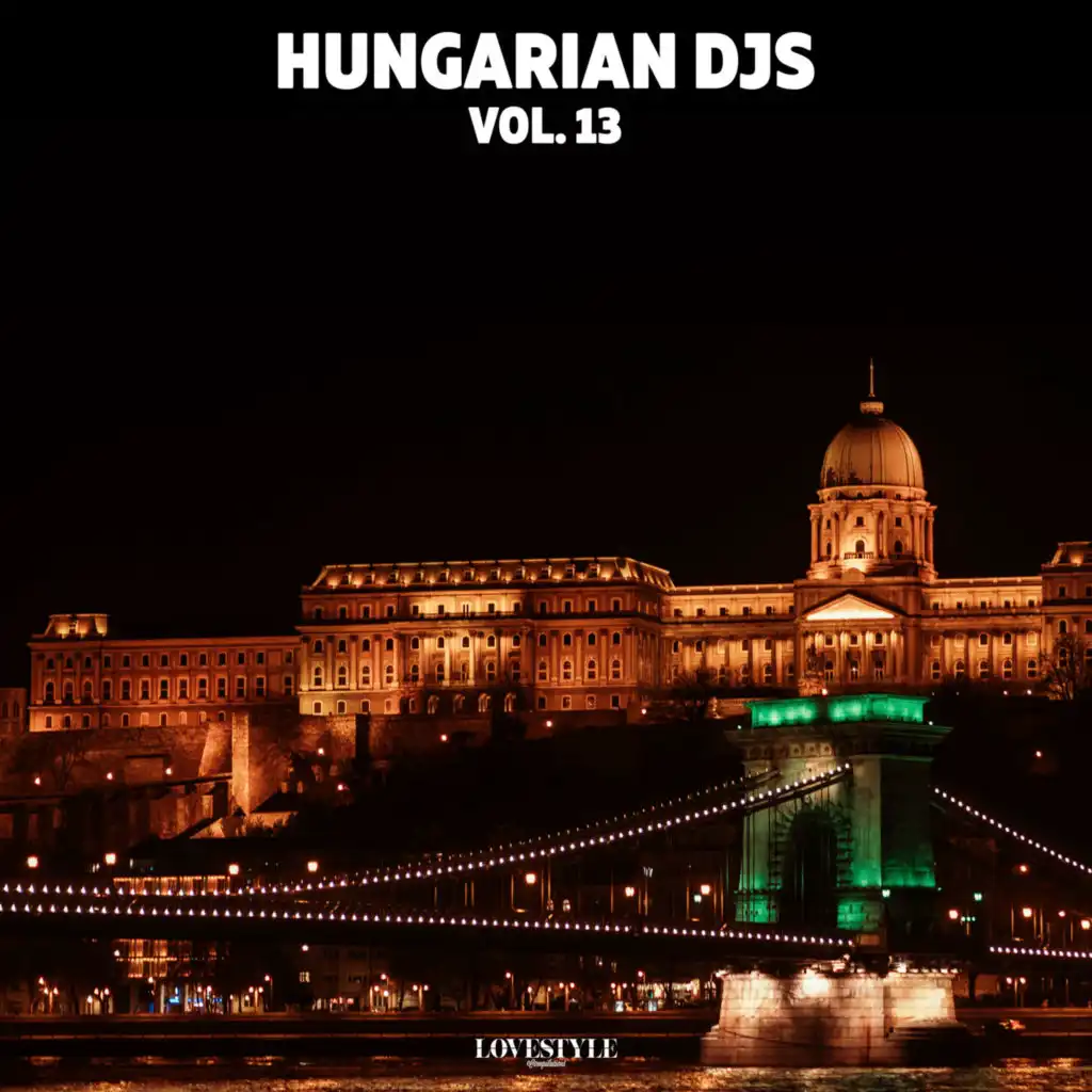 Hungarian DJs, Vol. 13