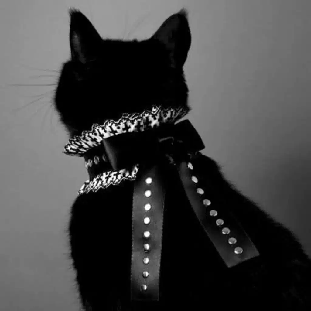 عن هواية ترجمة الأفلام والمسلسلات والقصص المصورة: هل هي مفيدة؟