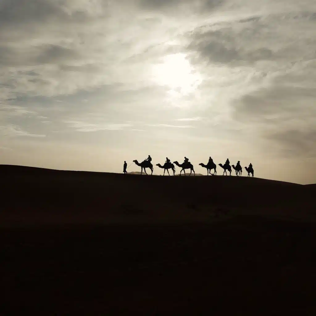 وأنت تحدو بقافلتك نحو كعبة النجاح ستنبح الكلاب وتُرمى إبلك -أعمالك- بالحجارة وستهطل المطر وستجتاز مستنقعات تقبّل ذلك وامضِ قدمًا