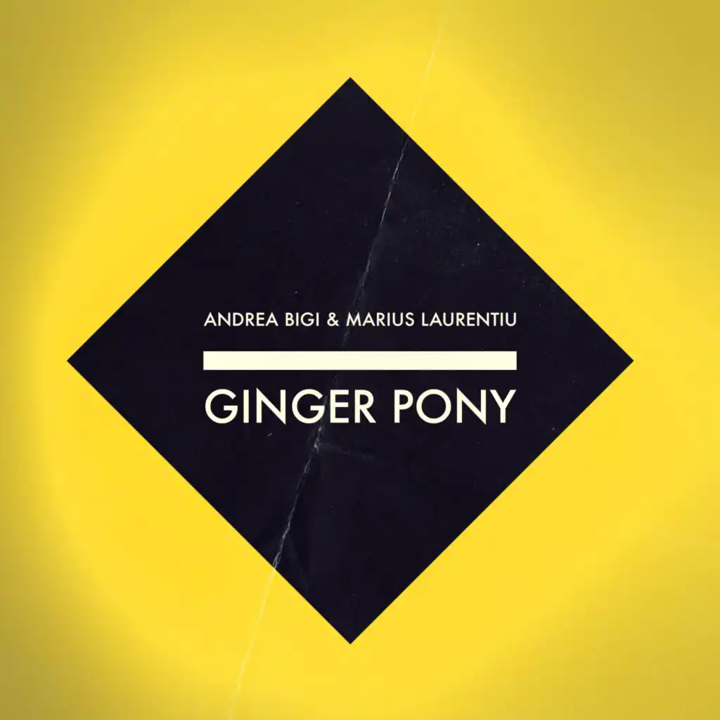 Ginger Pony (Ilario Liburni Remix)